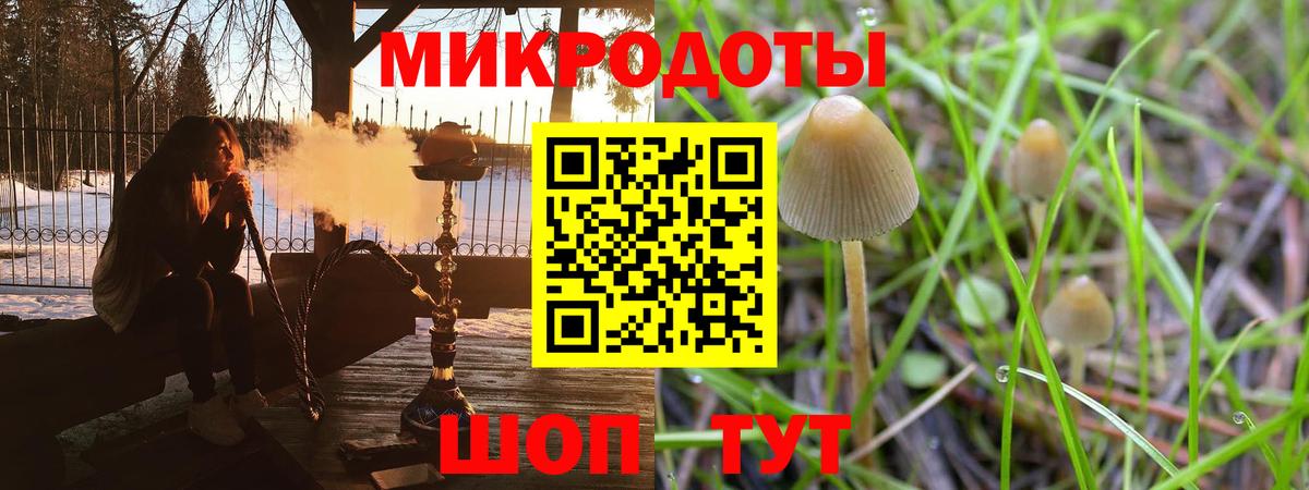 Псилоцибиновые грибы мицелий  где можно купить наркотик  Галлюциногенные грибы Psilocybe  Энгельс  Вход с VPN 